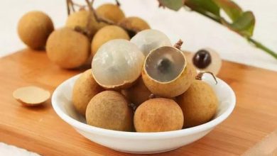 Benefits of Longan Fruit for Well Being