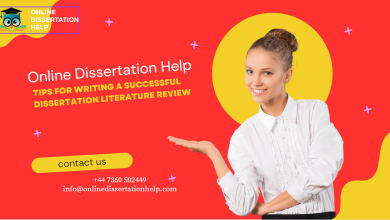 Dissertation Literature Review help