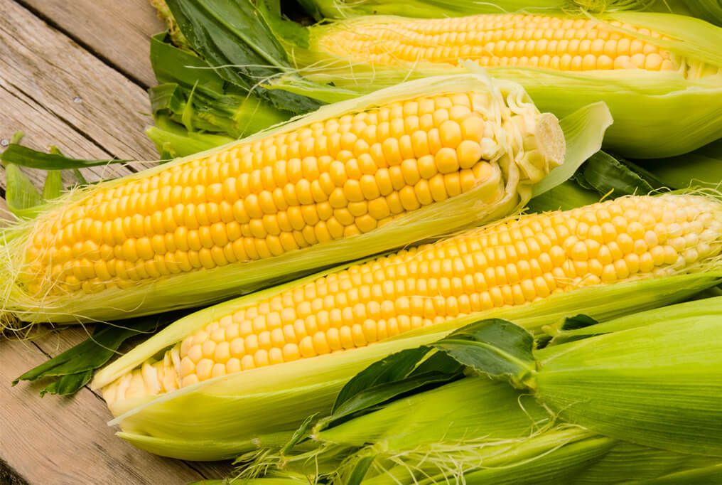 Sweet corn