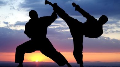 Astrology and Martial Arts