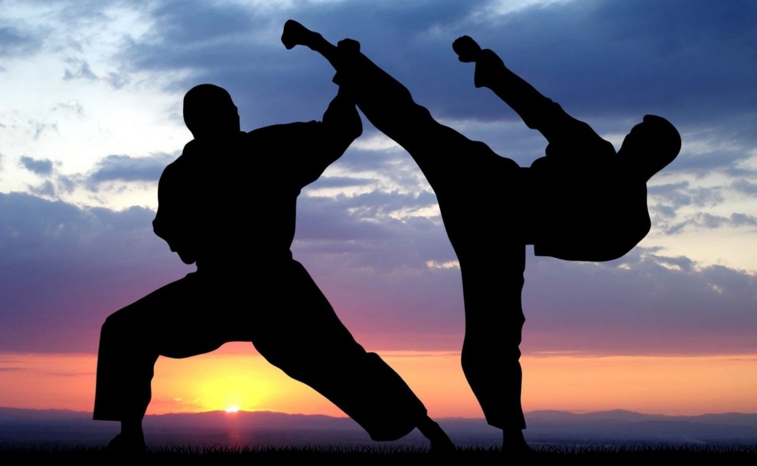 Astrology and Martial Arts