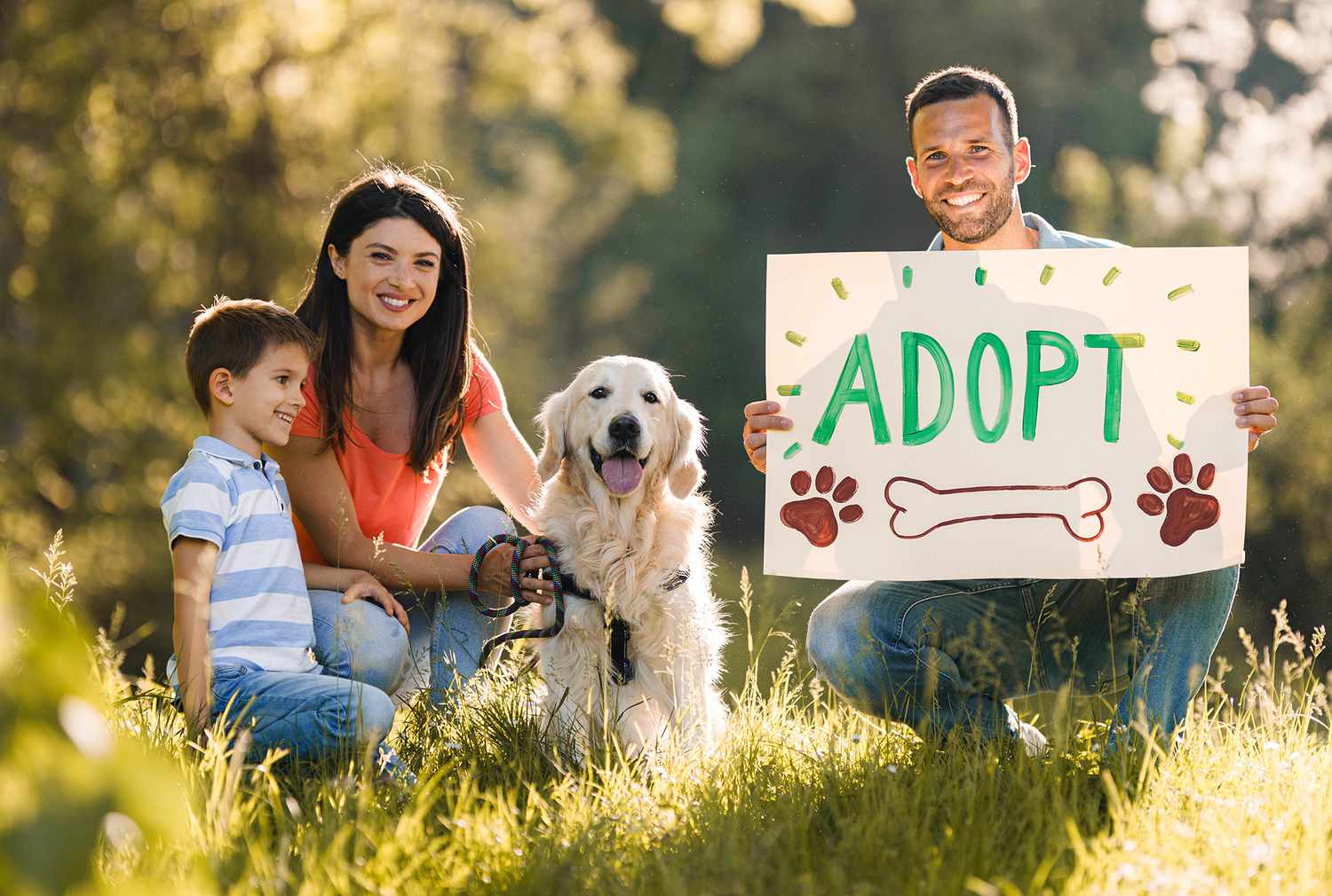 Pet Adoption