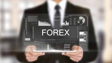 Understanding the Forex No Deposit Bonus