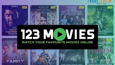 Troubleshooting Common Issues on 123 Movies