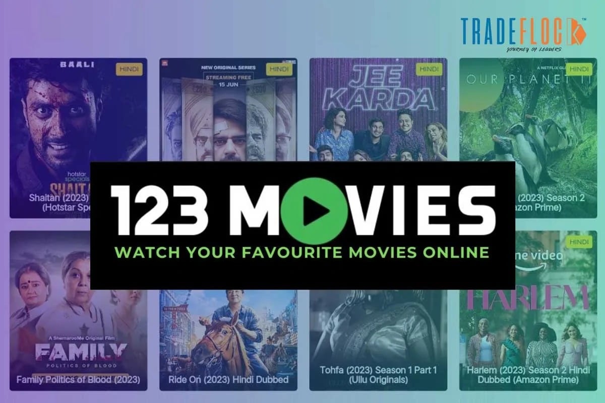 Troubleshooting Common Issues on 123 Movies