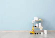 Painting Specialist